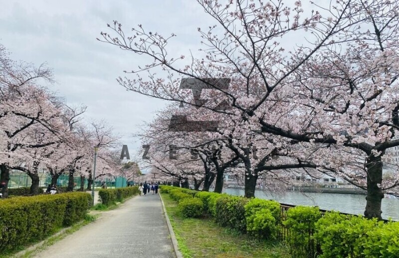 公園