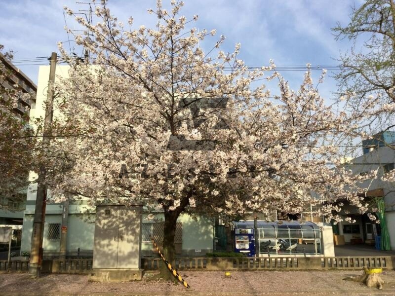 公園